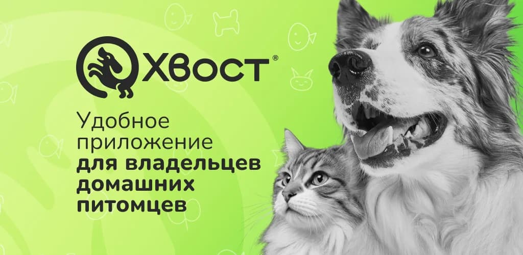 Приложение «Хвост» для владельцев собак Обложка приложения «Хвост» для владельцев собак